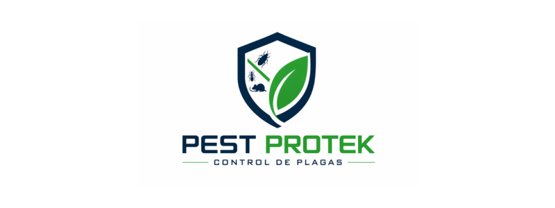 Diseño sin título (38)